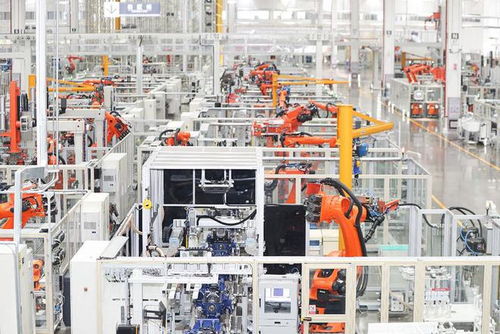 譚旭光 重錘鑿破供應鏈壁壘，開拓工業旅游新藍海